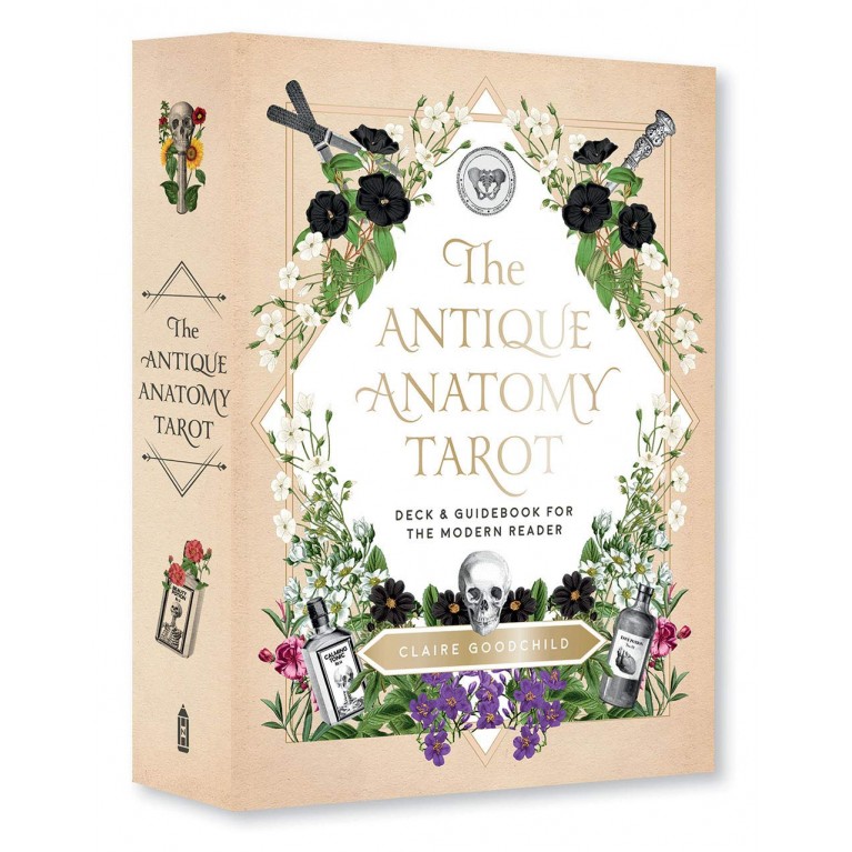 Таро Античной Анатомии / The Antique Anatomy Tarot